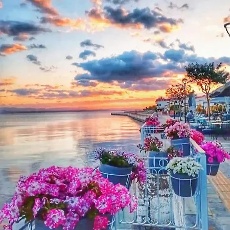 Alice House 1 * Amarynthos